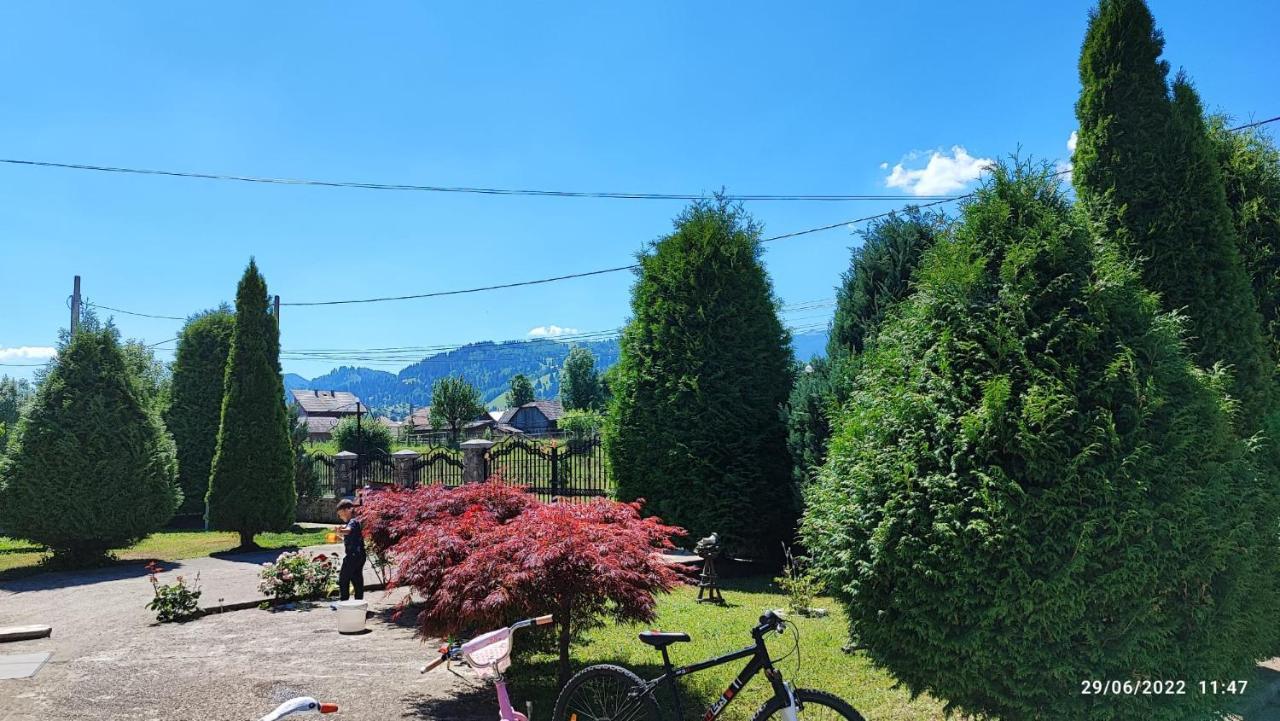 Ferienwohnung Dariamaf Câmpulung Moldovenesc Exterior foto