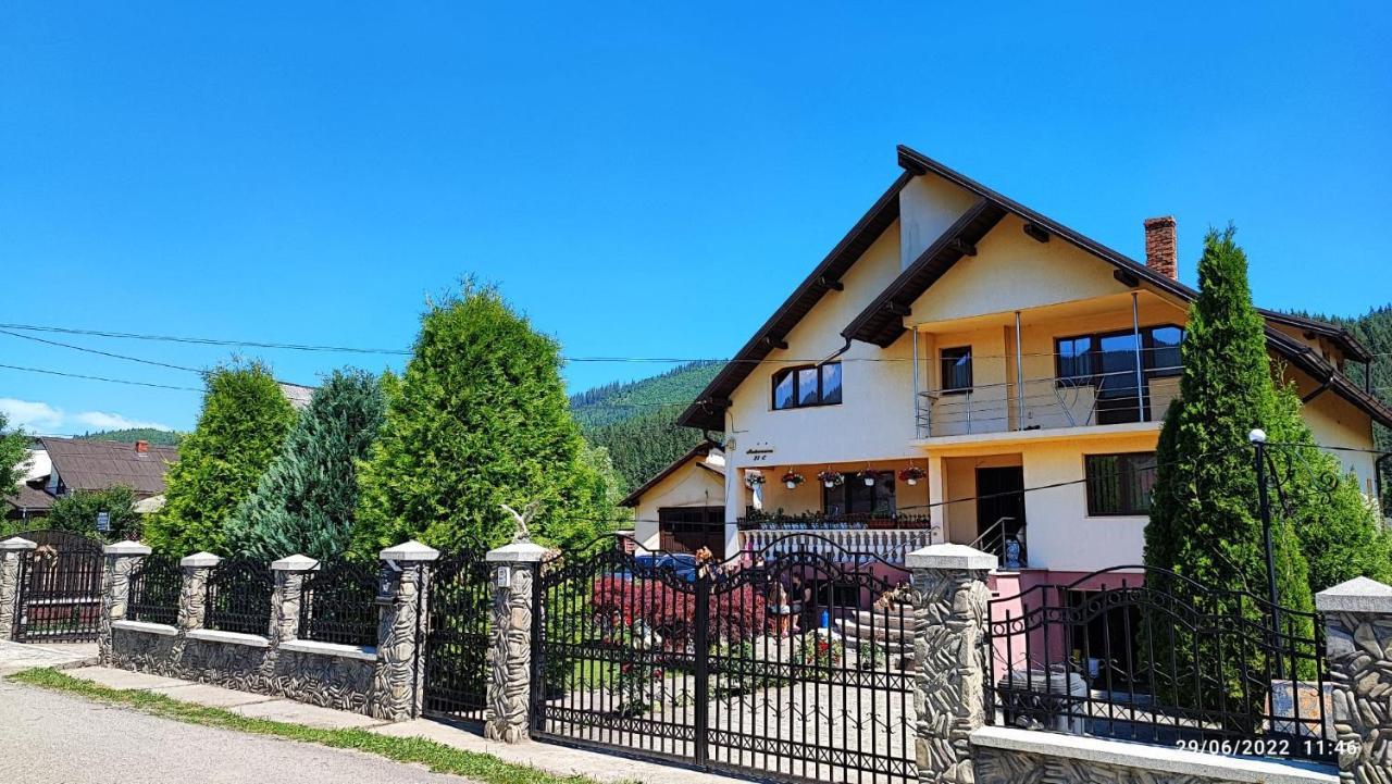 Ferienwohnung Dariamaf Câmpulung Moldovenesc Exterior foto