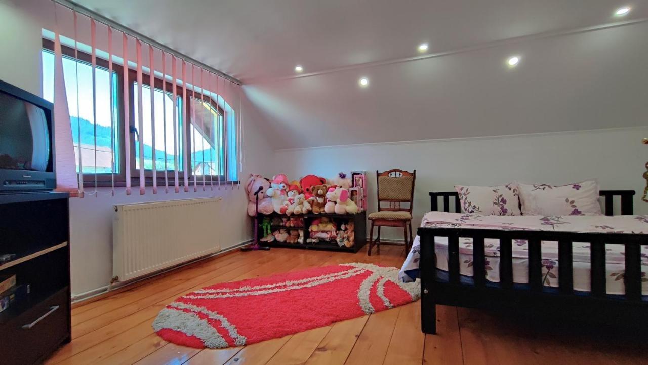 Ferienwohnung Dariamaf Câmpulung Moldovenesc Exterior foto