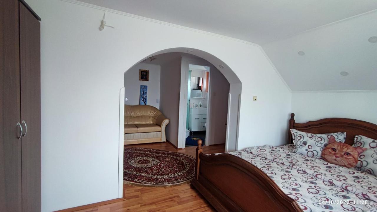 Ferienwohnung Dariamaf Câmpulung Moldovenesc Exterior foto