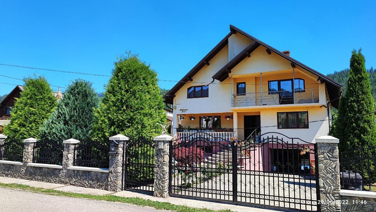 Ferienwohnung Dariamaf Câmpulung Moldovenesc Exterior foto