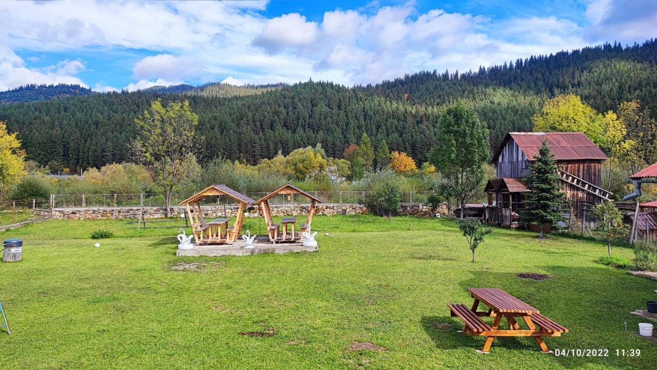 Ferienwohnung Dariamaf Câmpulung Moldovenesc Exterior foto