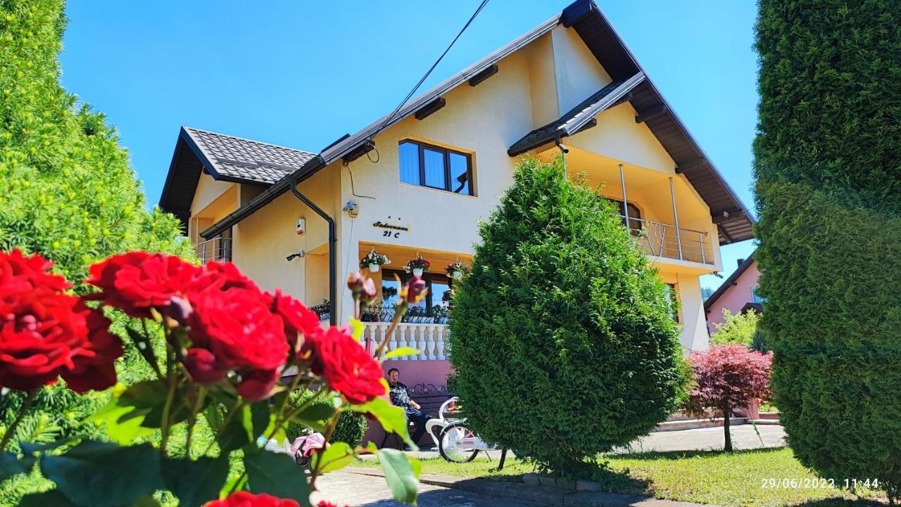 Ferienwohnung Dariamaf Câmpulung Moldovenesc Exterior foto